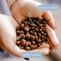 PERRO Karma sucha Indyk z batatami - bezzbożowa karma sucha dla psów dorosłych średnich i dużych ras PRÓBKA 60g