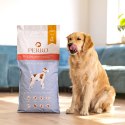 PERRO Karma sucha Indyk z batatami - bezzbożowa karma sucha dla psów dorosłych średnich i dużych ras PRÓBKA 60g