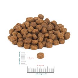 PERRO Wołowina z batatami -Karma sucha dla szczeniąt wszystkich ras- PRÓBKA 60g