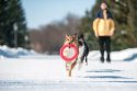 PitchDog PIERŚCIEŃ APORT 20cm RÓŻOWY