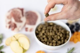 YDOLO Iberico - wieprzowina Iberico - karma półwilgotna dla psa PRÓBKA (100g)