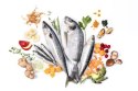 YDOLO Wild Fish - ryby morskie - karma półwilgotna dla psa PRÓBKA (100g)