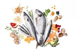 YDOLO Wild Fish - ryby morskie - karma półwilgotna dla psa PRÓBKA (100g)