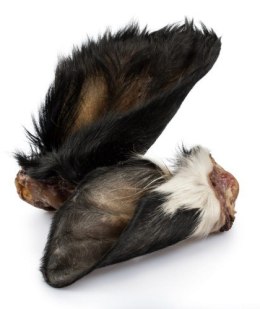 BALTO Ucho wołowe z futrem- naturalny gryzak dla psa 1szt