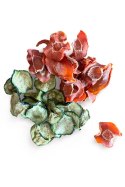 House Of Treats- Chipsy warzywne - marchew & cukinia 120g House Of Treats- Chipsy warzywne - marchew & cukinia 120g