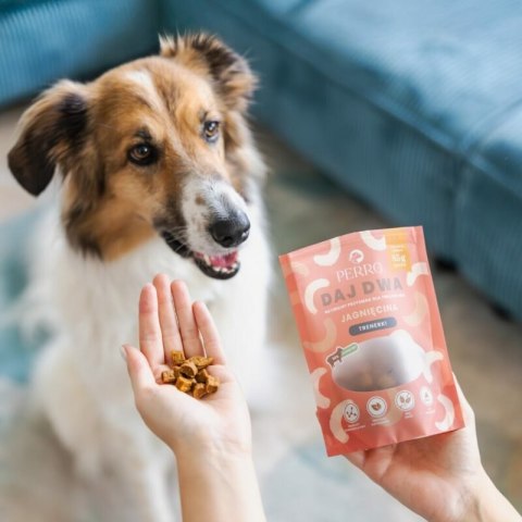 PERRO DAJ DWA Konina- Trenerki dla psa monobiałkowe 85g