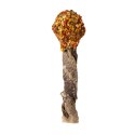 Cooka's Cookies LOLLIPOP Lizak - gryzak z dorsza i indyka 30g Cooka's Cookies LOLLIPOP Lizak - gryzak z dorsza i indyka 30g