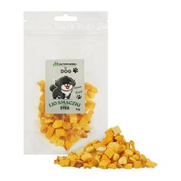 FACTORYHERBS FOR DOG Liofilizowana DYNIA 10g