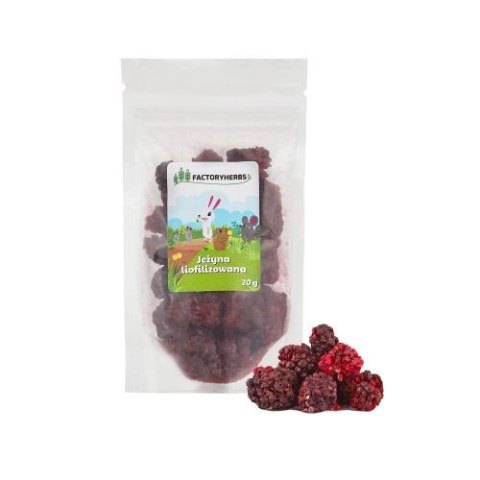 FACTORYHERBS Liofilizowana JEŻYNA 20g