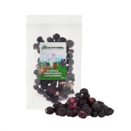 FACTORYHERBS Liofilizowana borówka amerykańska 20g