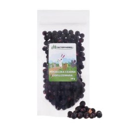 FACTORYHERBS Liofilizowana porzeczka czarna 20g
