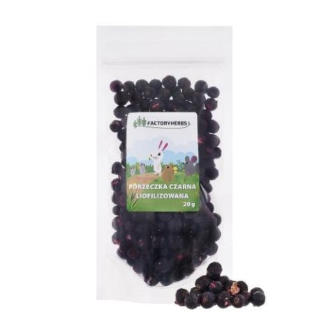 FACTORYHERBS Liofilizowana porzeczka czarna 20g