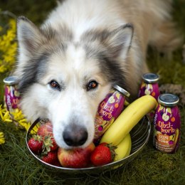SmoothieDog OBSTKORB- owocowe smoothie dla psa 250ml