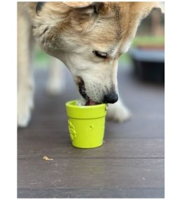 SodaPup Flower pot blue - doniczka na jedzenie dla psa