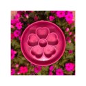 SodaPup Miska spowalniająca jedzenie kwiat- Flower Design eBowl FIOLETOWA