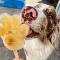Stevi & Schnück's Hundemarmelade KÜsschen! DŻEM DOBRY POCAŁUNEK 275g Stevi & Schnück's Hundemarmelade KÜsschen! DŻEM DOBRY POCAŁUNEK 275g