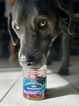 Stevi & Schnück's Hundemarmelade Nordlichter DŻEM DOBRY ZORZA POLARNA 275g