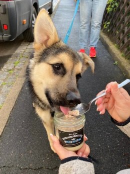 Stevi & Schnück's Hundemarmelade Weisswurst DŻEM DOBRY BIAŁA KIEŁBASA 275g