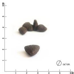 Tales and Tails - karma bezzbożowa, półwilgotna dla dorosłego psa KONINA 1,5kg