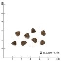 Tales and Tails - karma bezzbożowa, półwilgotna dla szczeniąt z Jagnięciny 1,5kg Tales and Tails - karma bezzbożowa, półwilgotna dla szczeniąt z Jagnięciny 1,5kg