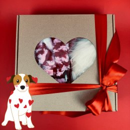 ❤️ Walentynkowy BOX dla psa- 