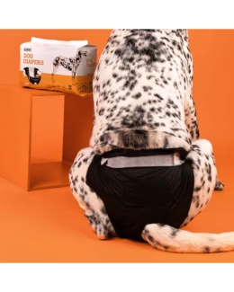 Dashi Dog Diapers 12szt. - pieluchy dla psa, psie pampersy, czarne - L