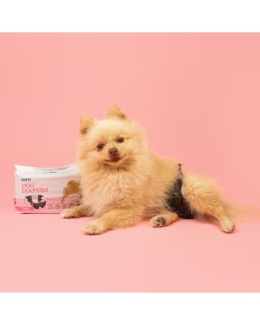 Dashi Dog Diapers 12szt. - pieluchy dla psa, psie pampersy, czarne - S