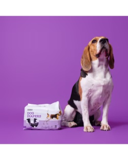 Dashi Dog Diapers 12szt. - pieluchy dla psa, psie pampersy, czarne - M