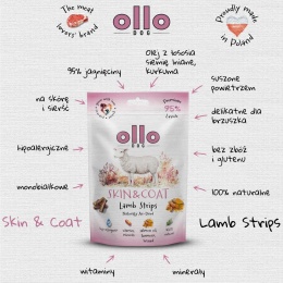 OLLO Air-Dried Skin & Coat Lamb Strips- przysmaki funkcyjne dla psa z jagnięciny 80g