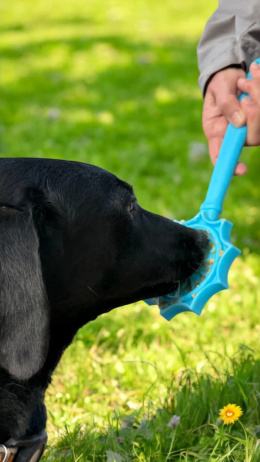 SODAPUP- Interaktywna mata do lizania- LICK STICK HAND-HELD BLUE