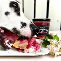 Stevi & Schnück‘s Hundemarmelade Einhorn DŻEM DOBRY JEDNOROŻEC 275g *zawiera kurczaka Stevi & Schnück‘s Hundemarmelade Einhorn DŻEM DOBRY JEDNOROŻEC 275g *zawiera kurczaka