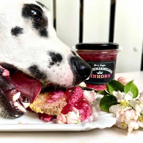 Stevi & Schnück‘s Hundemarmelade Einhorn DŻEM DOBRY JEDNOROŻEC 275g *zawiera kurczaka Stevi & Schnück‘s Hundemarmelade Einhorn DŻEM DOBRY JEDNOROŻEC 275g *zawiera kurczaka
