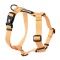 BAYLABEL Szelki dla psa guard Sunny Yellow M 25mm