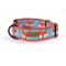 KENDOG Obroża Lis 4cm L