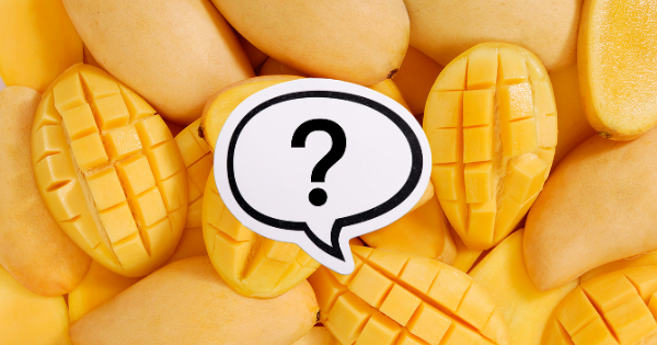 Czy pies może jeść mango?