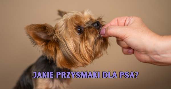 Jakie przysmaki dla psa?