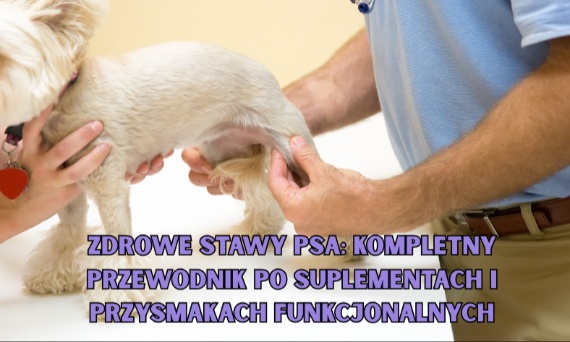 Zdrowe Stawy Psa: Kompletny Przewodnik po Suplementach i Przysmakach Funkcjonalnych