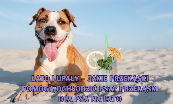 Lato i upały – jakie przekąski pomogą ochłodzić psa? Przekąski dla psa na lato