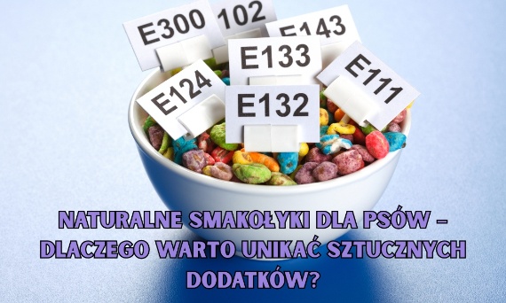 Naturalne smakołyki dla psów – dlaczego warto unikać sztucznych dodatków?