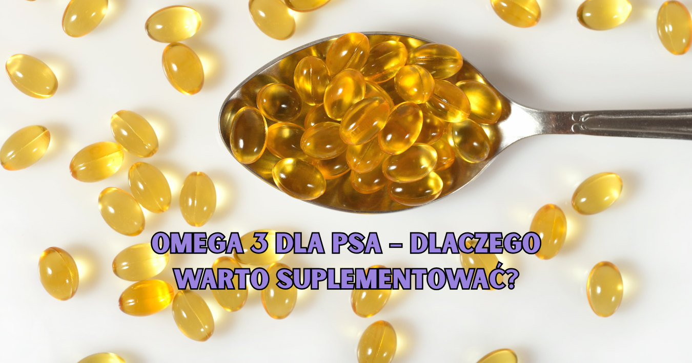 Omega 3 dla psa – dlaczego warto suplementować?