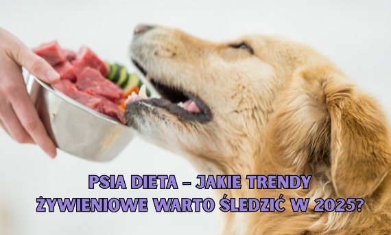 Psia dieta – jakie trendy żywieniowe warto śledzić w 2025?