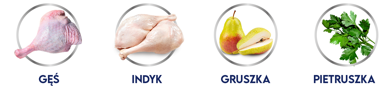 Ikony_karma mokra gęś indyk.png