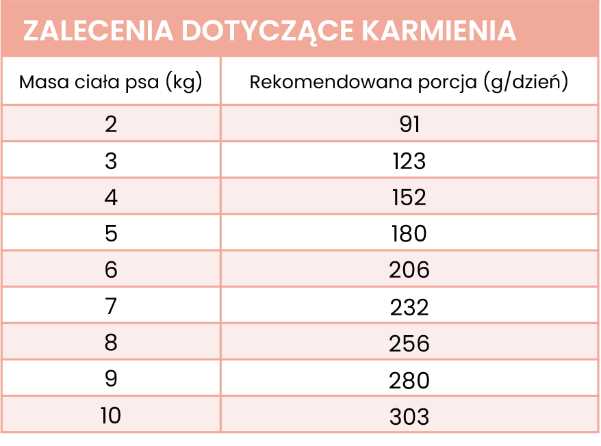Karma mokra z kaczki i marchewki dla psa PERRO 850g